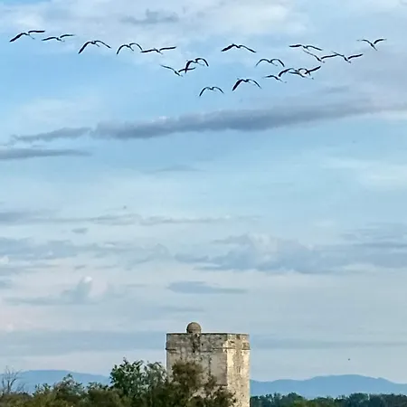 Tatil Evi La Camargue Mit Pool *