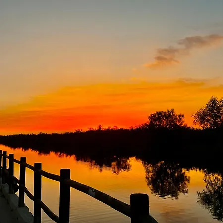 La Camargue Mit Pool Holiday home
