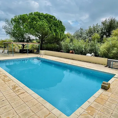 La Camargue Mit Pool Dom wakacyjny Aigues-Mortes